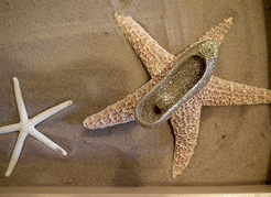 sandplay starfish shoe